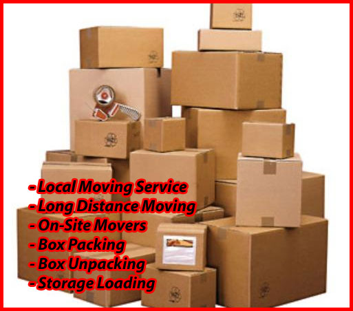 Packers And Movers Noida Sector 132